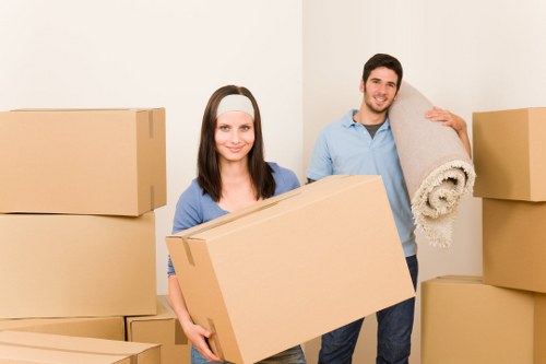 Southwark Removals website with cookie policy update notice